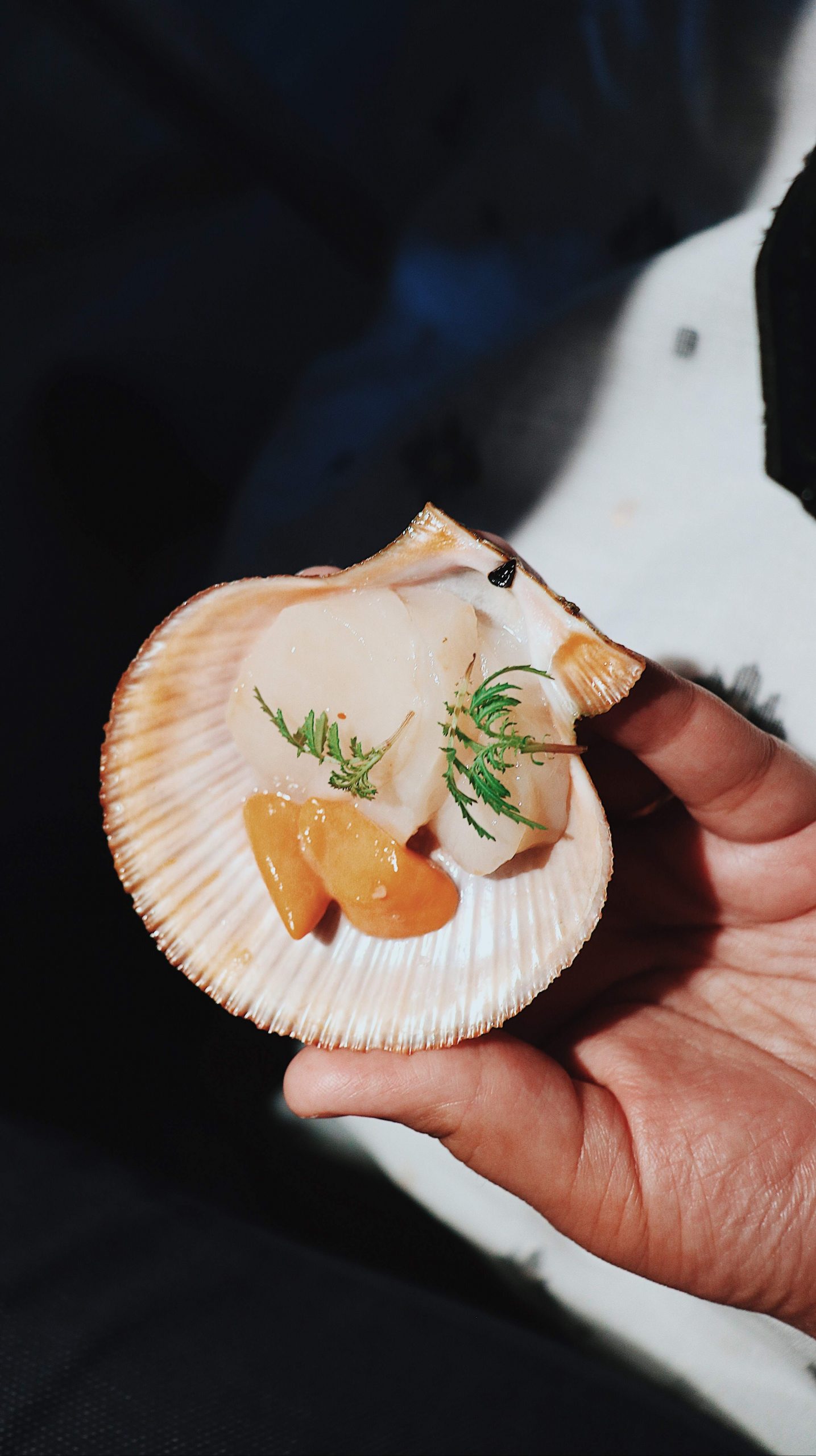 Mozaic Gastronomy