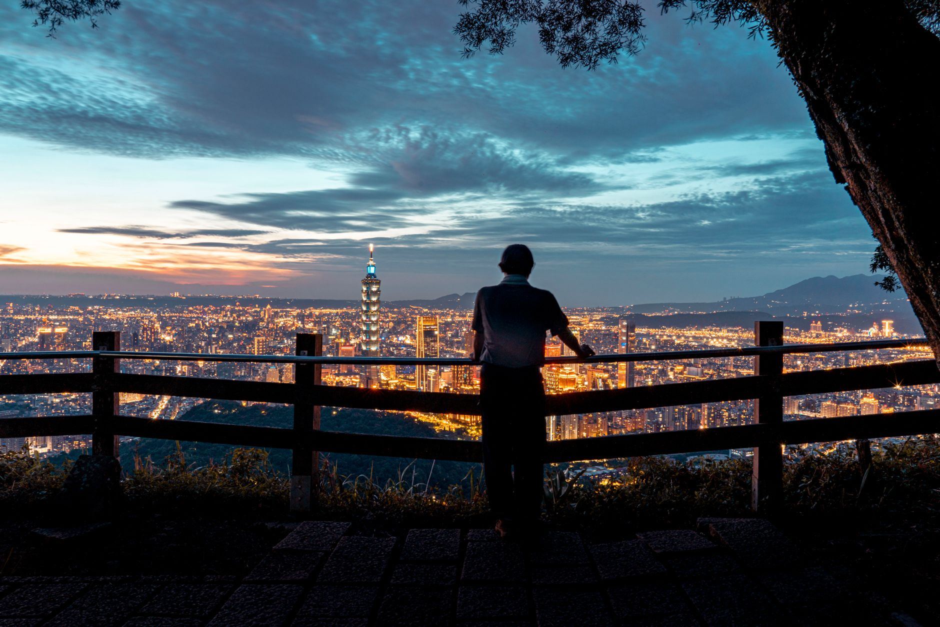 Looking out over the city at dusk - LIVID AI SEO agency